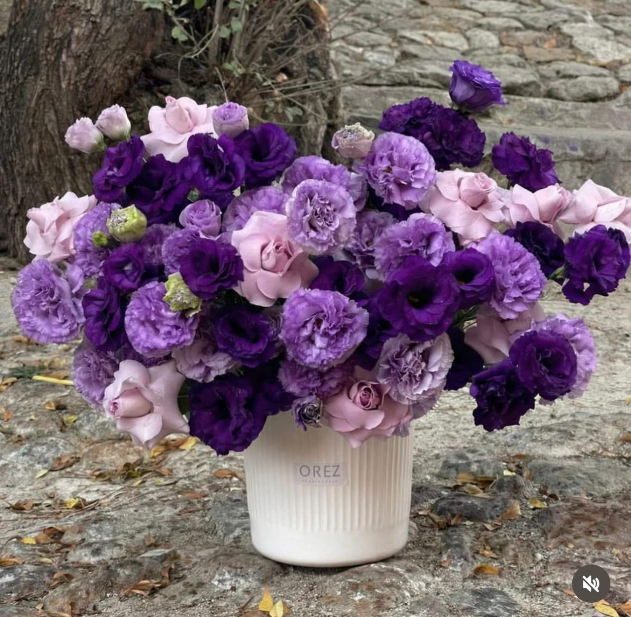 2 Paq Lisianthus y 9 Rosas en Base de Cerámica